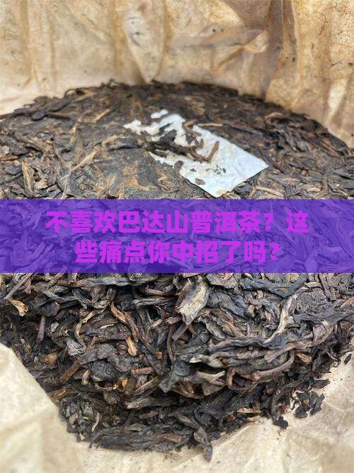 不喜欢巴达山普洱茶
