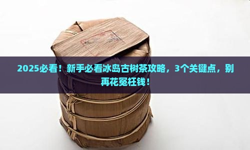临沧冰岛古树茶介绍