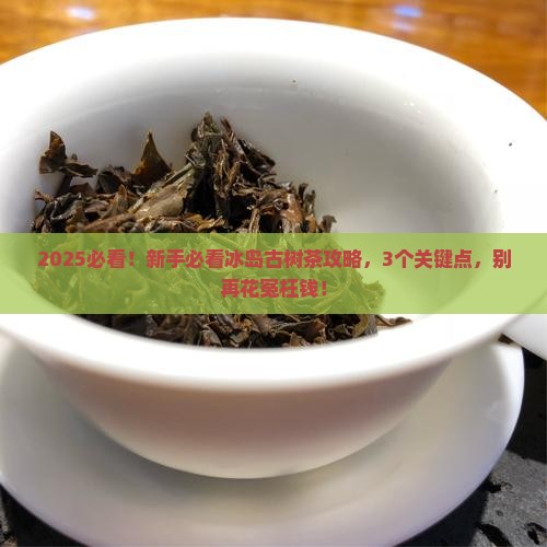 临沧冰岛古树茶介绍