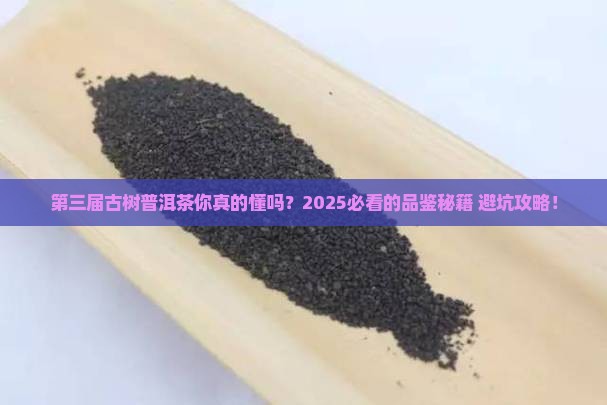 第三届古树普洱茶