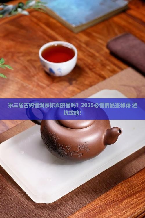 第三届古树普洱茶
