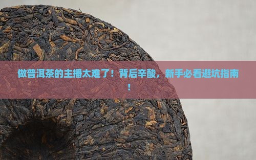 做普洱茶的主播太难了