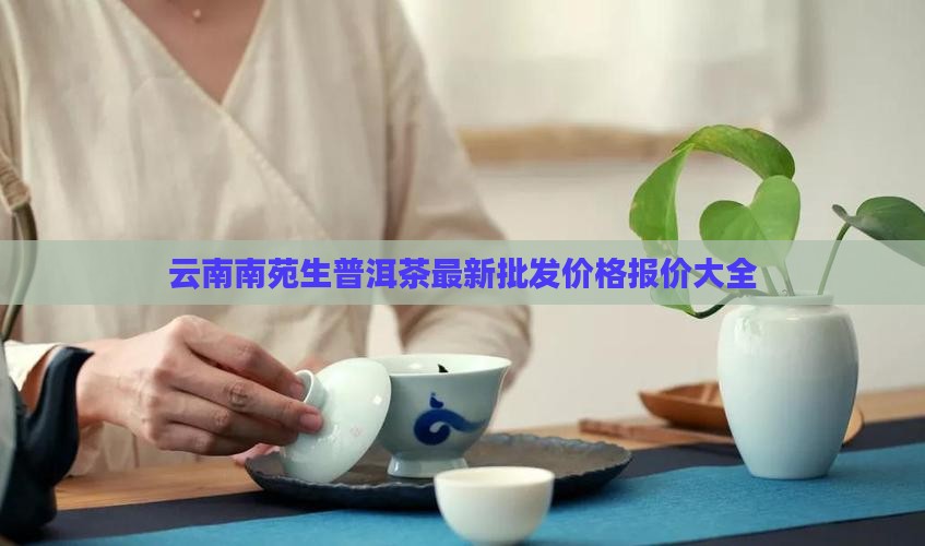 云南南苑生普洱茶价格