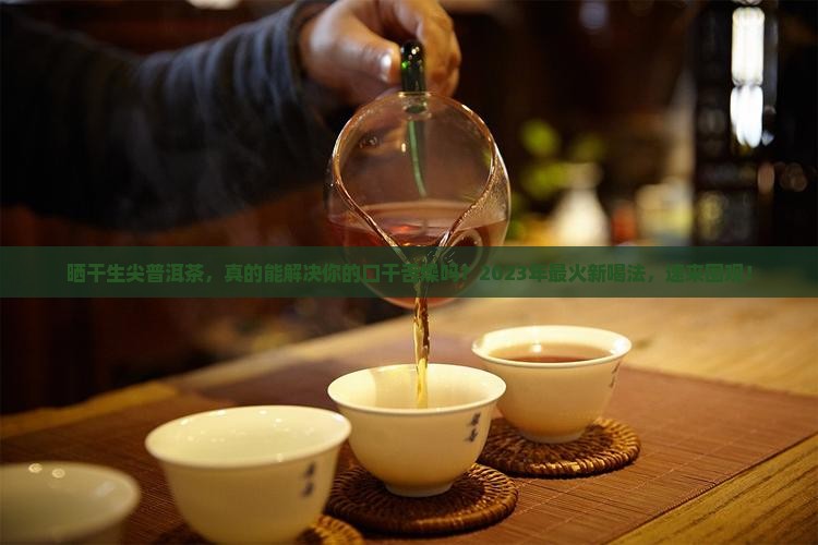 晒干生尖普洱茶