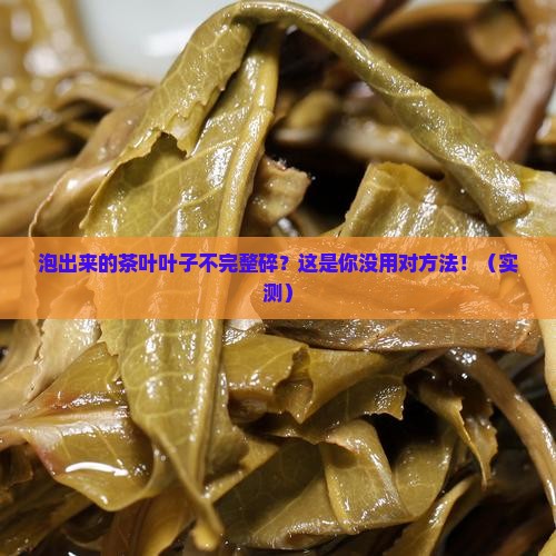 泡出来的茶叶叶子不完整碎