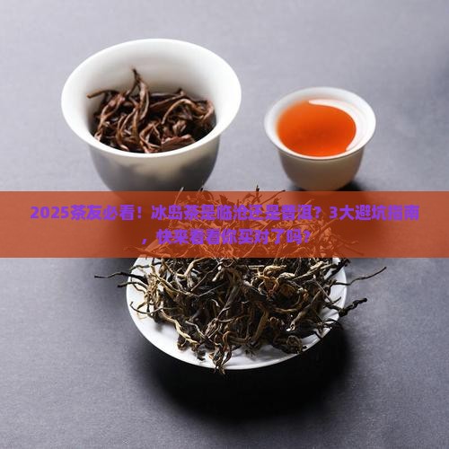 冰岛茶是临沧还是普洱