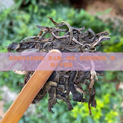 清润茶什么时候喝