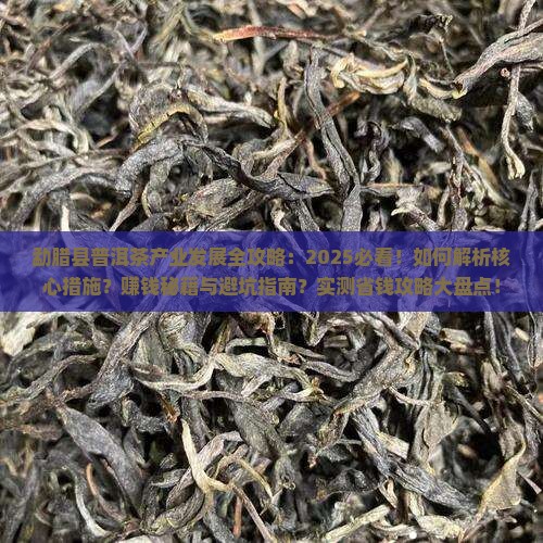 勐腊县发展普洱茶的措施