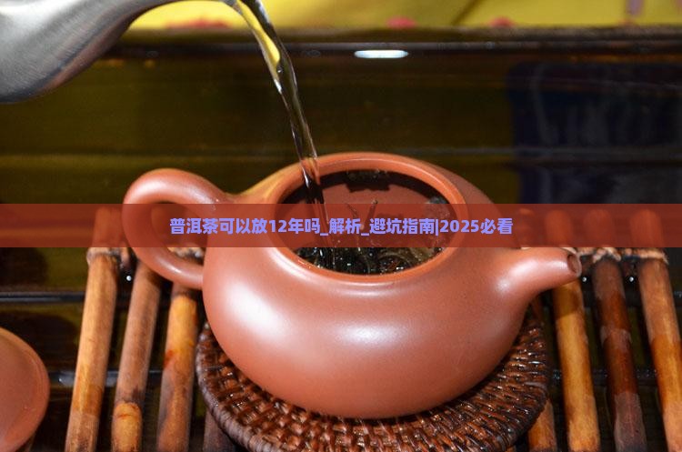 普洱茶可以放12年吗
