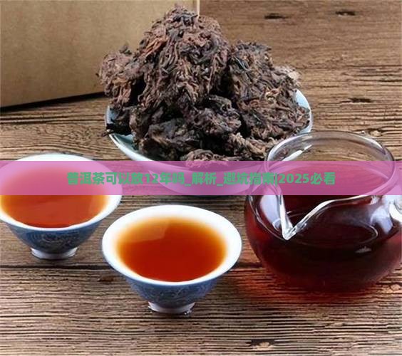 普洱茶可以放12年吗