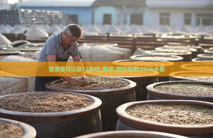 普洱茶可以放12年吗