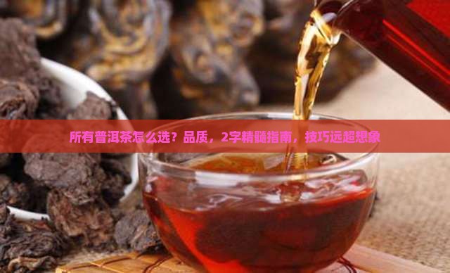所有普洱茶用两个字形容