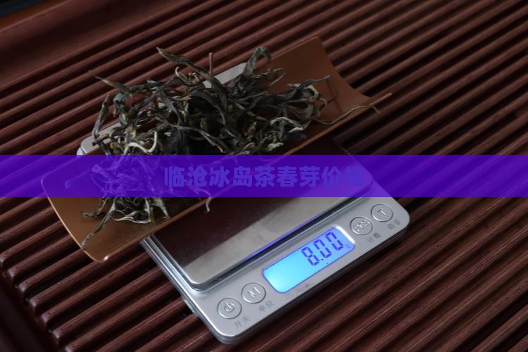 临沧冰岛茶春芽