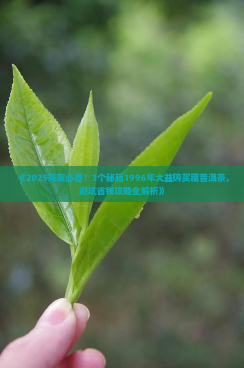 1996年大益购买藏普洱茶