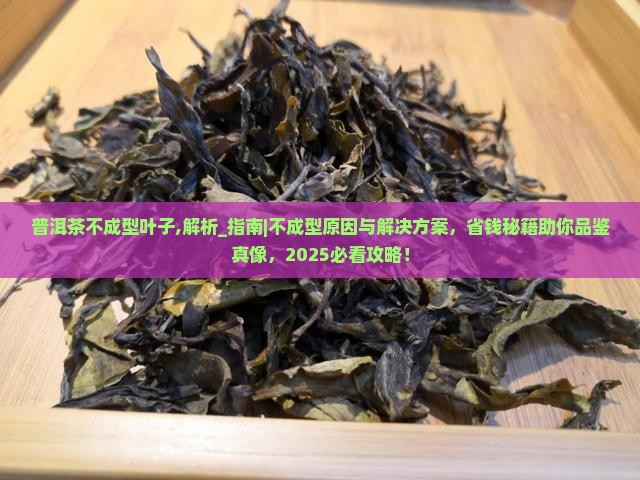 普洱茶不成型叶子