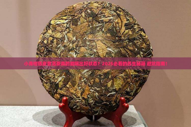 小青柑陈皮普洱茶功效