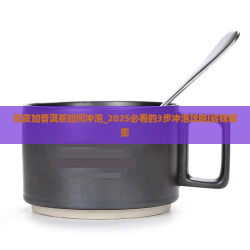 陈皮加普洱茶如何冲泡