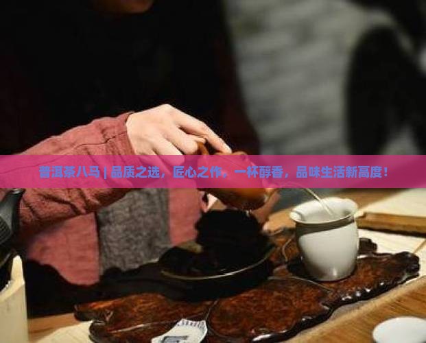 普洱茶八马品牌
