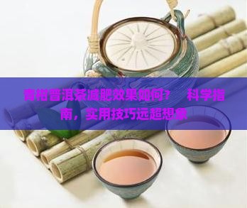 青柑普洱茶减肥 青柑普洱茶减肥