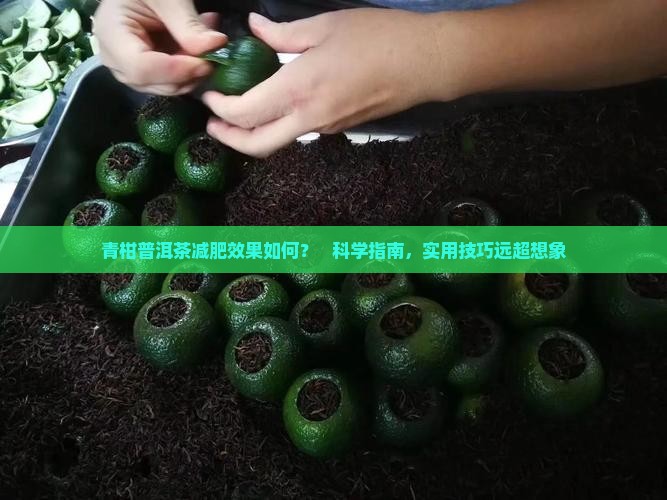 青柑普洱茶减肥 青柑普洱茶减肥