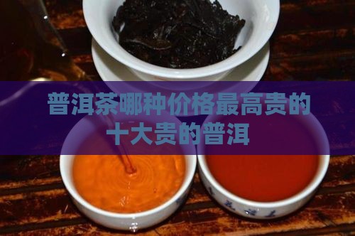普洱茶哪种价格最高贵