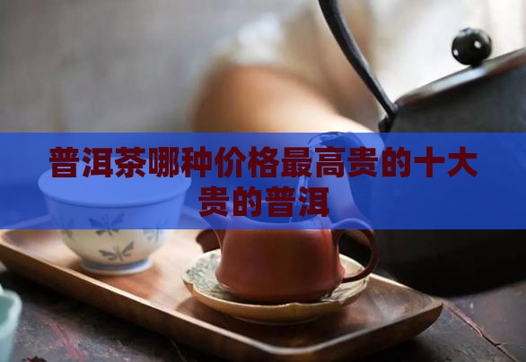 普洱茶哪种价格最高贵