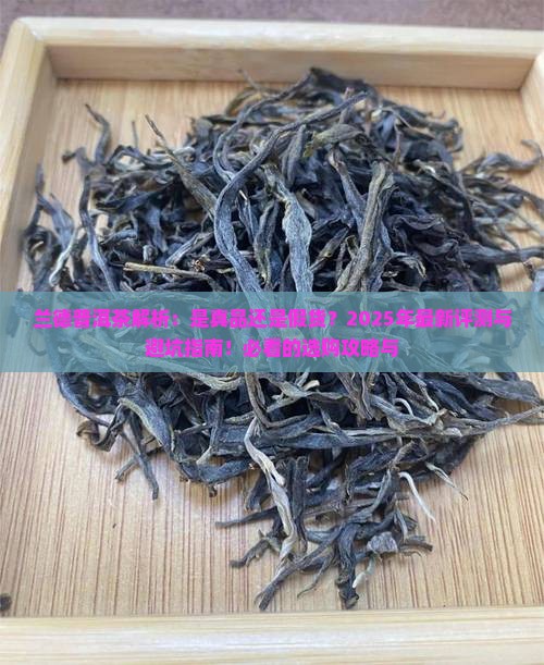 兰德是什么牌子普洱茶