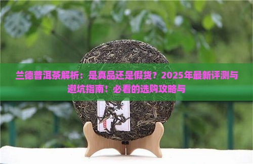 兰德是什么牌子普洱茶