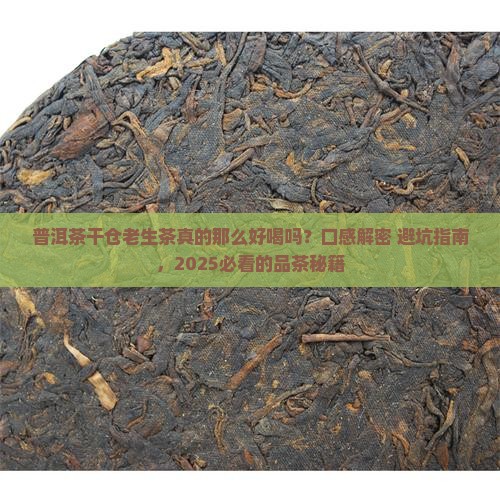 普洱茶干仓老生茶的口感