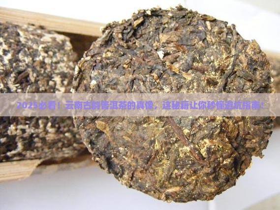 云南古韵的普洱茶