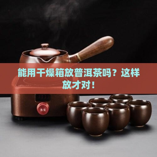 能用干燥箱放普洱茶吗
