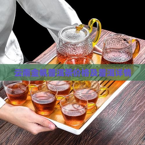 云南金帆普洱茶价格