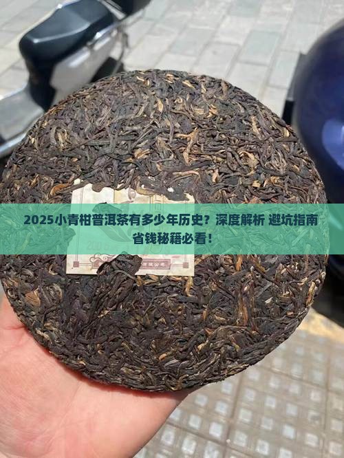 小青柑普洱茶有多少年了