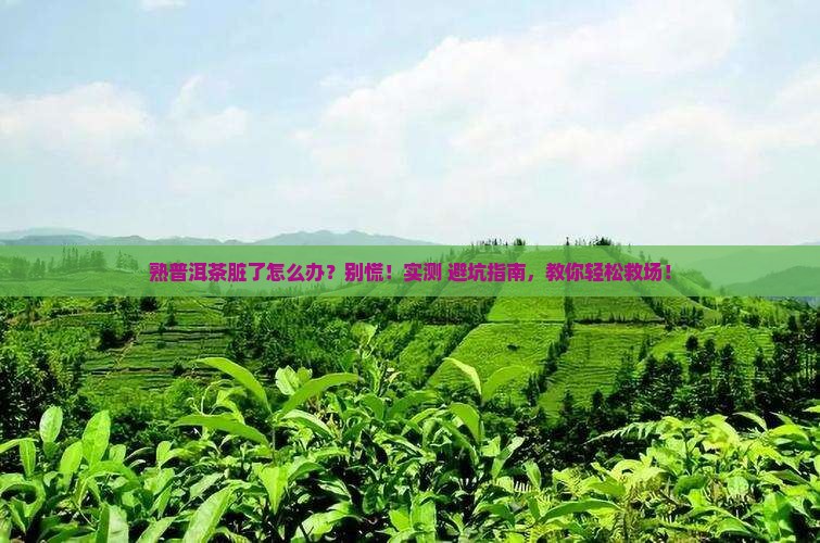 熟普洱茶脏了怎么办 熟普洱茶脏了怎么办