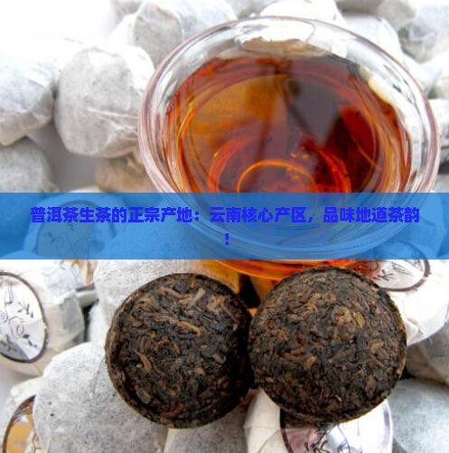 普洱茶生茶的正宗产地