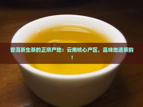 普洱茶生茶的正宗产地