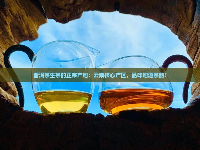 普洱茶生茶的正宗产地