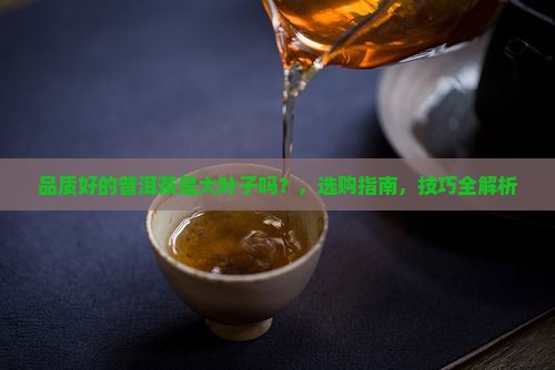 品质好的普洱茶是大叶子吗