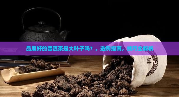 品质好的普洱茶是大叶子吗