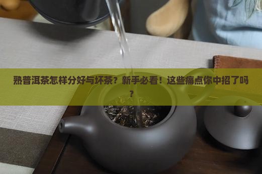 熟普洱茶怎样分好与坏茶