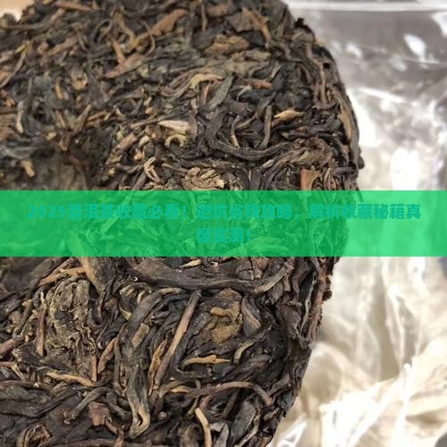 普洱茶要怎样购买藏