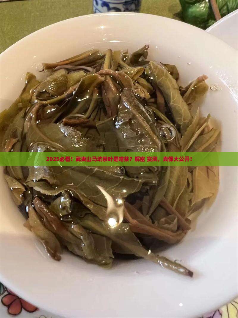 武夷山马坑茶叶是什么茶