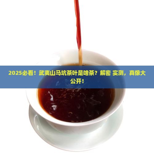 武夷山马坑茶叶是什么茶