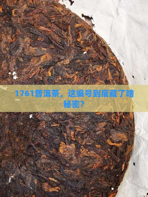 普洱茶编号1761是什么