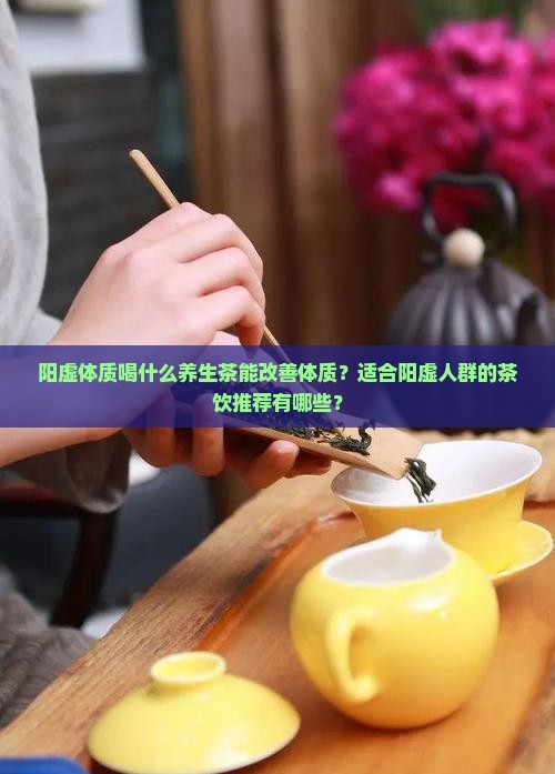 阳虚体质喝什么养生茶