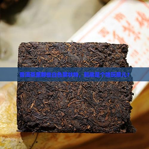 普洱茶中白色絮状物是啥