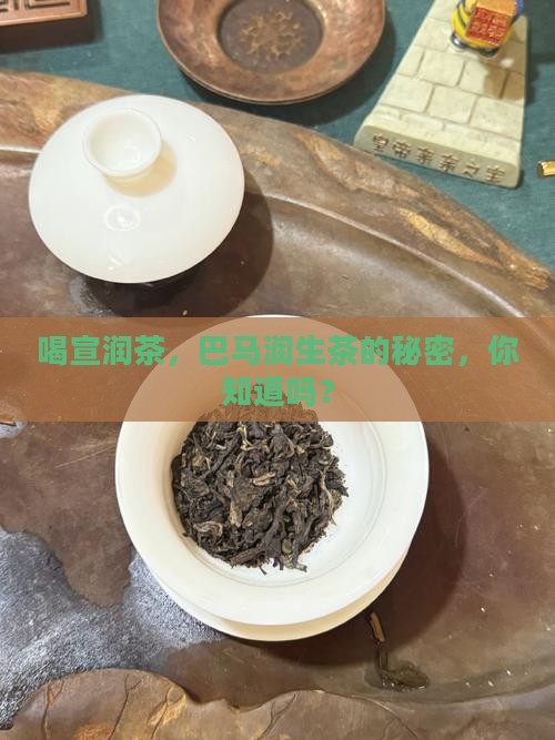 宣润茶有什么功效巴马润生茶