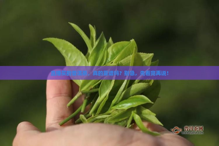 直播买的普洱茶怎么样