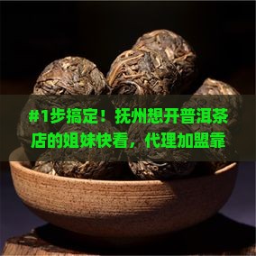 抚州普洱茶怎么代理加盟