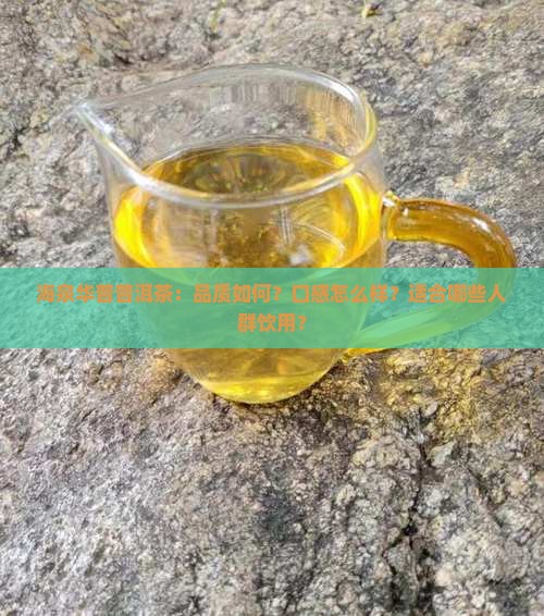 海泉华普普洱茶